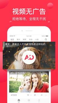 热点爆料入口西瓜视频,揭秘热门事件背后的真相